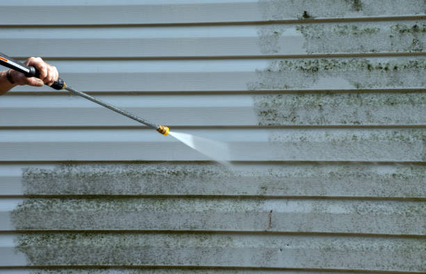 Best House Pressure Washing  in Wellington, FL